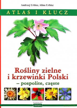 Rośliny zielne i krzewinki Polski - A.; Urbisz A. Urbisz [KSIĄŻKA]
