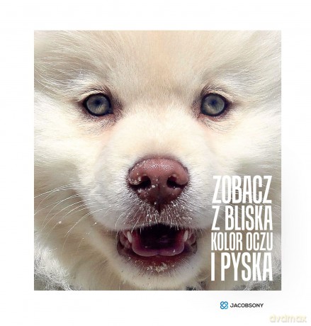 Zobacz z bliska kolor oczu i pyska - Kasia Jacobson [KSIĄŻKA]