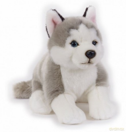 Pluszak Husky National Geographic