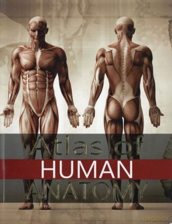 Atlas of Human Anatomy [KSIĄŻKA]
