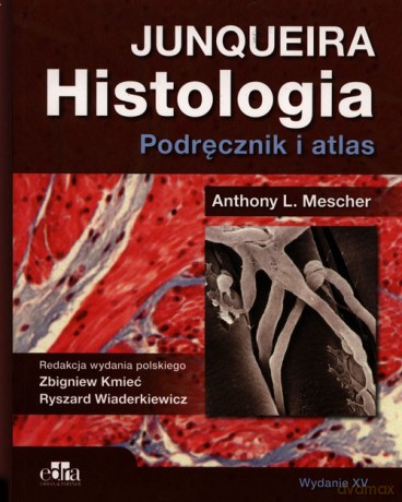 Histologia Junqueira Podręcznik i atlas - Anthony L. Mescher [KSIĄŻKA]