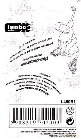 Dziurkacz fantazyjny mix wzorów