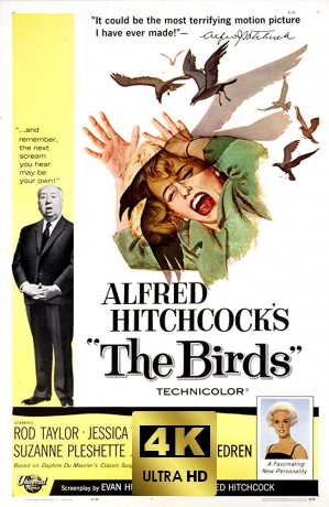 The Birds (Ptaki) [Blu-Ray 4K]+[Blu-Ray]