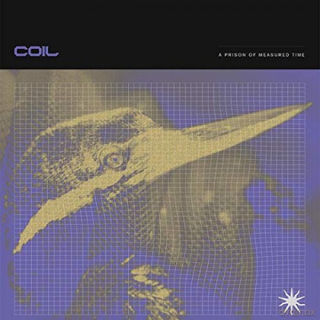 Coil: A Prison Of Measured Time [CD]