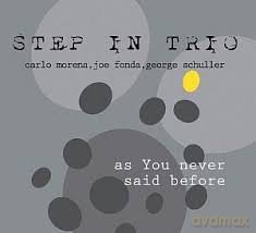 Step In Trio: As You Never'said Before [CD]