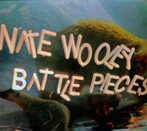 Wooley, Nat: Battle Pieces 4 [CD]