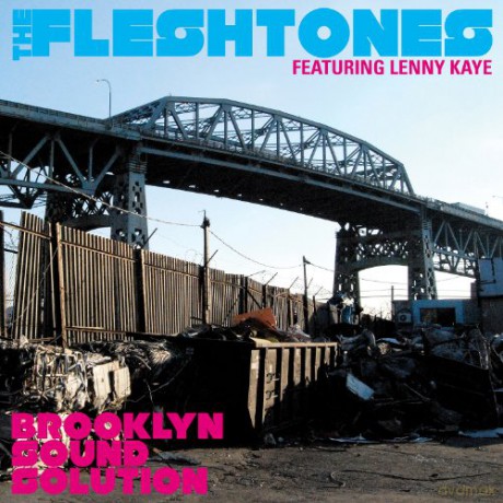 Fleshtones: Brooklyn Sound Solution [CD]