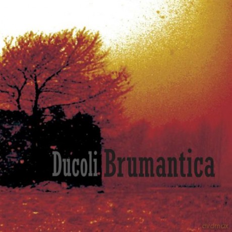 Alessandro Ducoli: Brumantica [CD]
