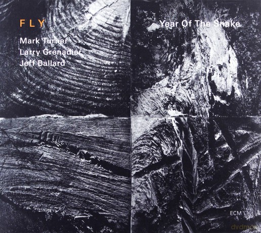 Fly Trio (Turner,Grenadier,Ballard): Year Of The Snake [CD]