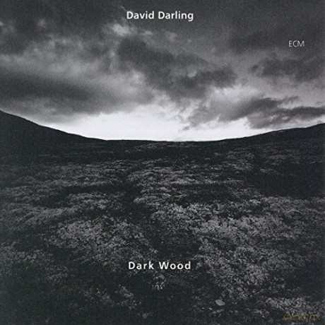 David Darling: Dark Wood [CD]
