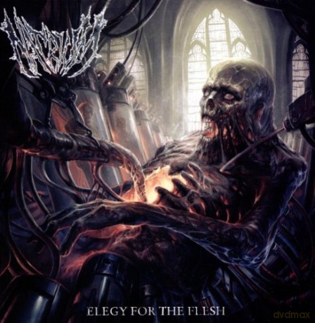 Natrium: Elegy For The Flesh [CD]