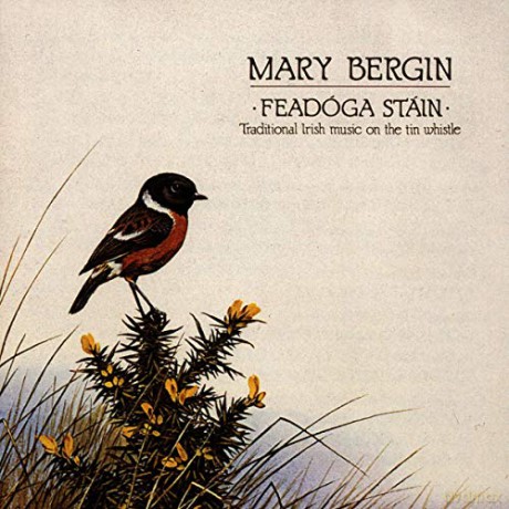 Mary Bergin: Feadoga Stain [CD]