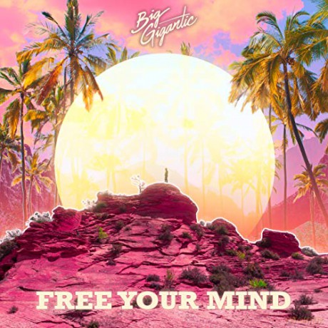 Big Gigantic: Free Your Mind [CD]