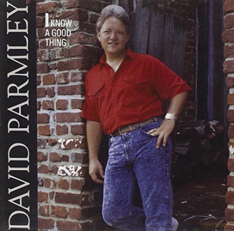 David Parmley: I Know A Good Thing [CD]