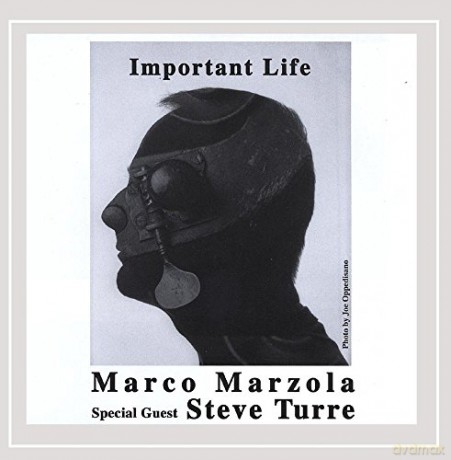 Marco Marzola: Important Life [CD]