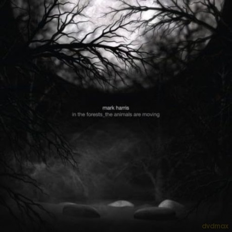 Mark Harris: In The Forests - The Animals A [CD]