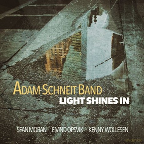 Adam Schneit Band: Light Shines In [CD]