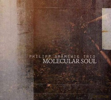 Braemswig Trio, Philipp: Molecular'soul [CD]