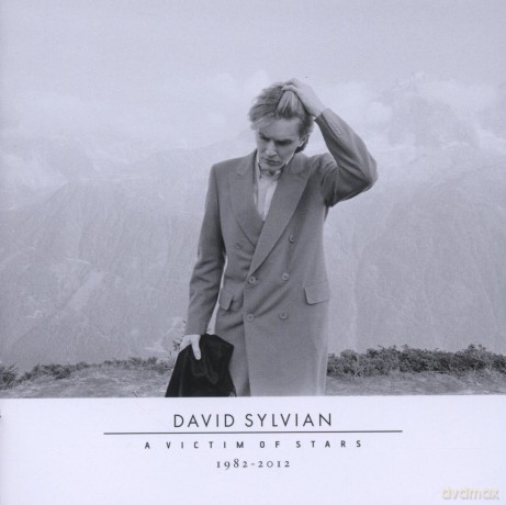 David Sylvian: A Victim Of Stars 1981-2012 (Standard) [2CD]