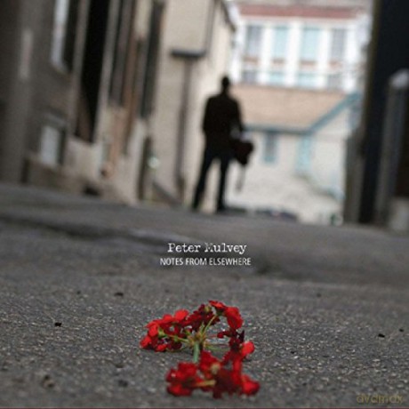Peter Mulvey: Notes From Elsewhere [CD]