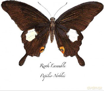 Rank Ensemble: Papilio Noblei [CD]