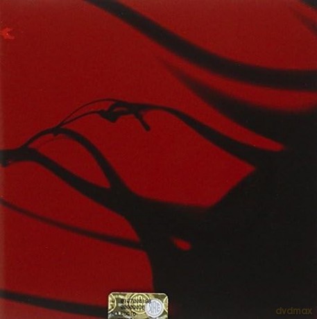 Succi Achille-Maiore Salvatore: Pequenas Flores Do Inferno [CD]