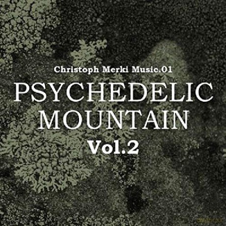 Psychedelic Mountain 2 [CD]