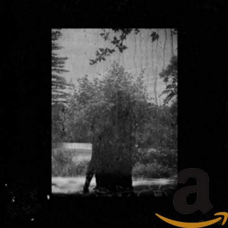 Grouper: Ruins [CD]