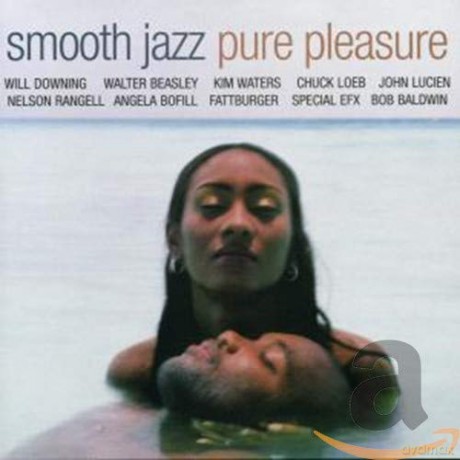 Smooth Jazz Pure Pleasure [CD]