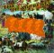 The Heartbeats Rhythm Quartet: Spinning World [CD]