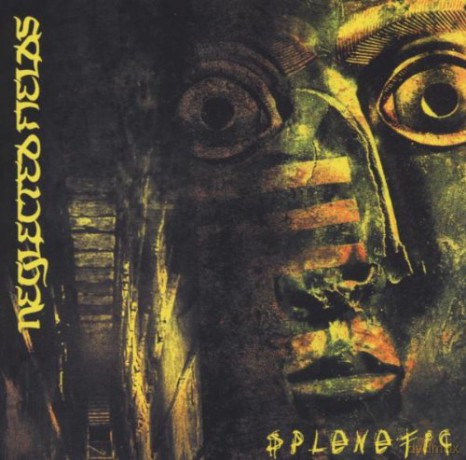 Neglected Fields: Splenetic [CD]