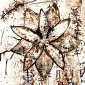 Infection Code: Sterile [CD]