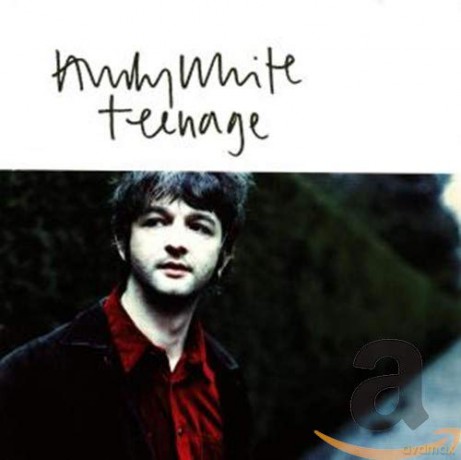 Andy White: Teenage [CD]