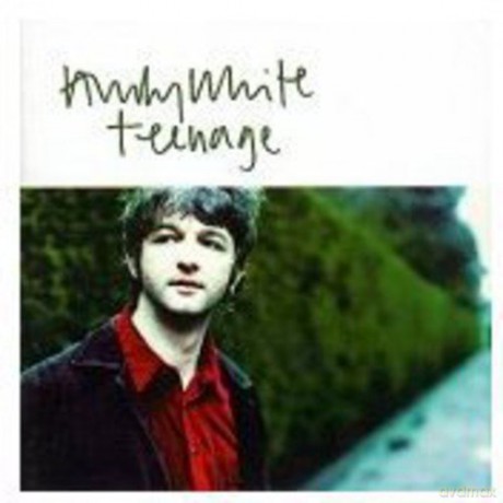 Andy White: Teenage [CD]