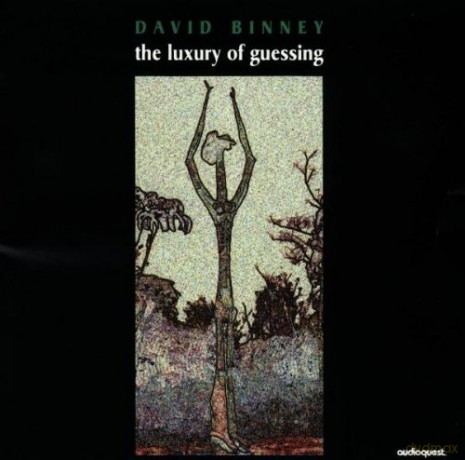 David Binney: The Luxury Of Guessing [CD]