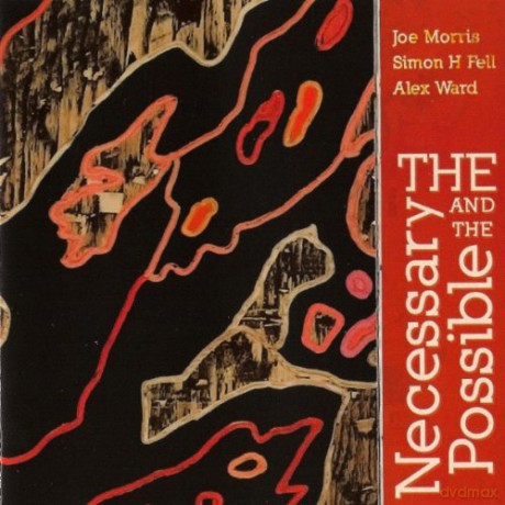 Joe^Fell, Simon^Ward, Alex Morris: The Necessary And Possib. [CD]