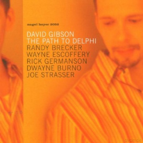 Dave Gibson: The Path To Delphi [CD]