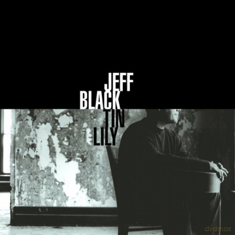 Jeff Black: Tin Lily [CD]