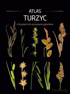 Atlas turzyc z kluczami do oznaczania gatunków - Barbary Sudnik-Wójcikowskiej [KSIĄŻKA]