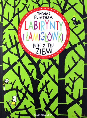 Labirynty i łamigłówki nie z tej ziemi - Thomas Flintham [KSIĄŻKA]
