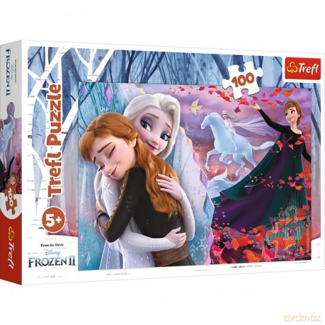 TREFL 100 el. Razem na zawsze Frozen 2 Kraina Lodu [PUZZLE]