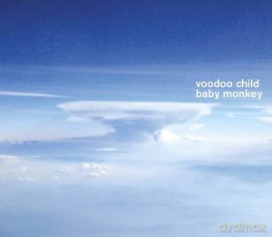 Voodoo Child: Baby Monkey [CD]