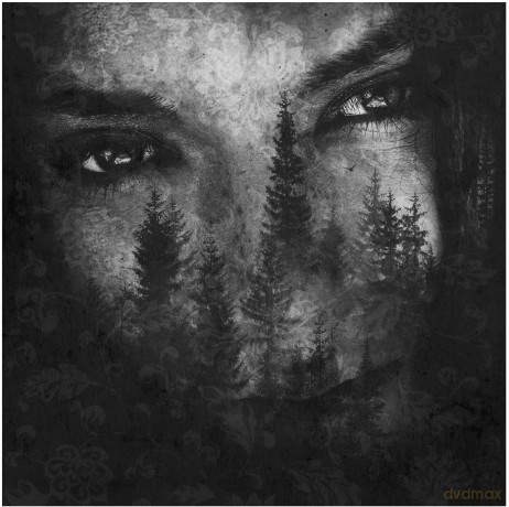 Lustre: The Ashes Of Light [CD]