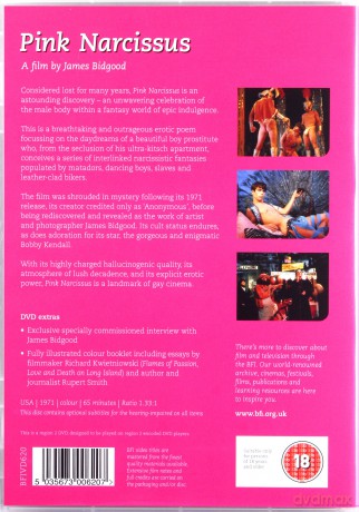 Pink Narcissus [DVD]