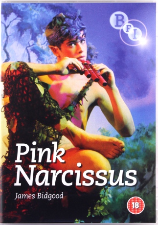 Pink Narcissus [DVD]