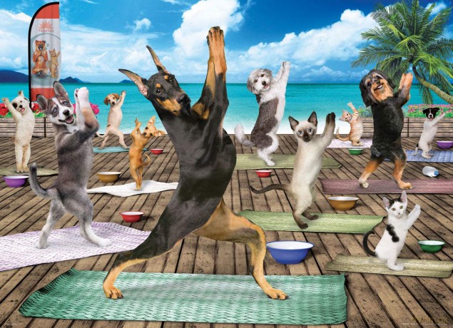 EUROGRAPHICS  500 el. Yoga Spa [PUZZLE]