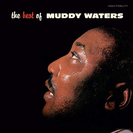 Muddy Waters: Best Of (Semi Transparent Brown) [Winyl]