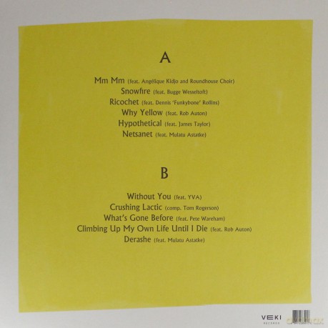 Hackney Colliery Band: Collaborations: Volume One [Winyl]