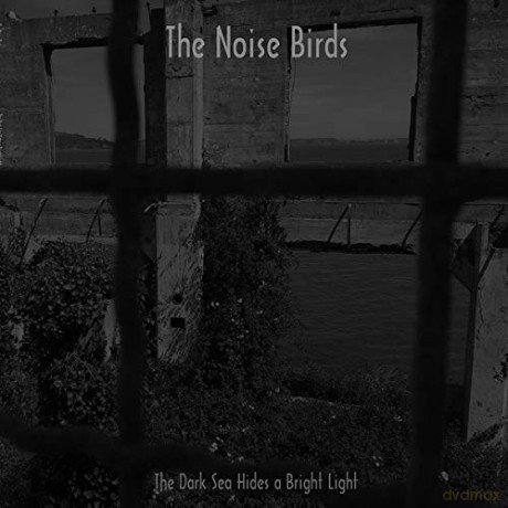 The Noise Birds: Dark Sea Hides A Bright Li [Winyl]