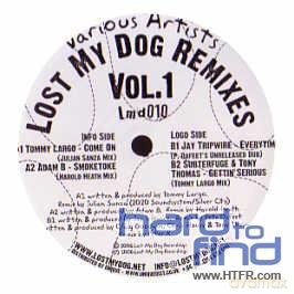 Lost My Dog Remixes [Winyl]